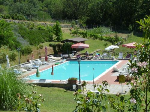 uma piscina com cadeiras e guarda-sóis num jardim em Ferienwohnung für 4 Personen 3 Kinder ca 70 qm in Dicomano, Toskana Provinz Florenz - b62903 em Dicomano