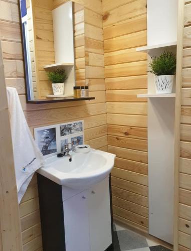 a bathroom with a sink and a mirror at Park Jesionów domki - Pleśna in Pleśna