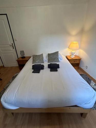 Photo de la galerie de l'établissement Appartement 1 chambre L'Envolée, à Chartres