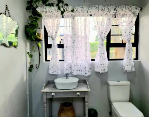 a bathroom with a sink and a window at The Farmstead in Cannon Rocks