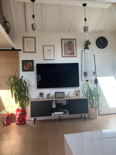 uma sala de estar com uma televisão de ecrã plano na parede em Charmant 2 pièces au cœur du Marais em Paris