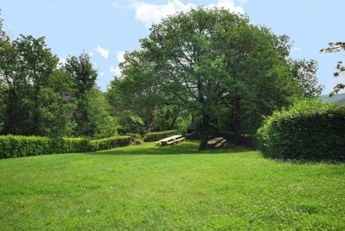 einen Park mit einem Baum und einer Bank auf einem Feld in der Unterkunft Studio für 4 Personen ca 60 qm in Cortine, Toskana Chianti in Fattoria Montecchio