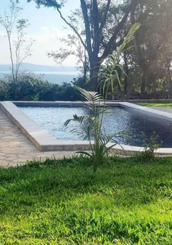 La alberca dentro o cerca de Lake view, comfort, close to the city, easy access