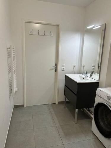 a bathroom with a sink and a washing machine at Appartement 1 pièce Drancy in Drancy