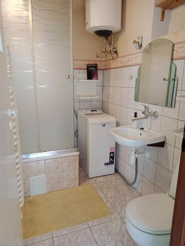 W łazience znajduje się toaleta, umywalka i prysznic. w obiekcie Apartament koło Dworcu w mieście Przemyśl