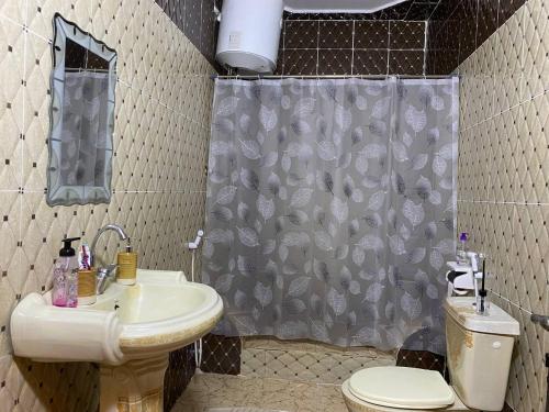 a bathroom with a sink and a shower curtain at Seleucia DaR Umm Qais in Um Qeis