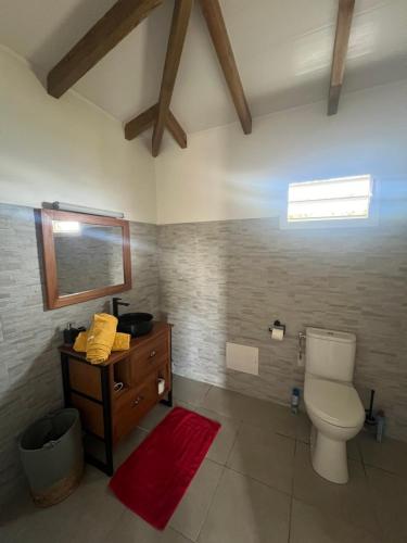 W łazience znajduje się toaleta, umywalka i lustro. w obiekcie Kaz Karaîb' w mieście Fond Belle Fontaine