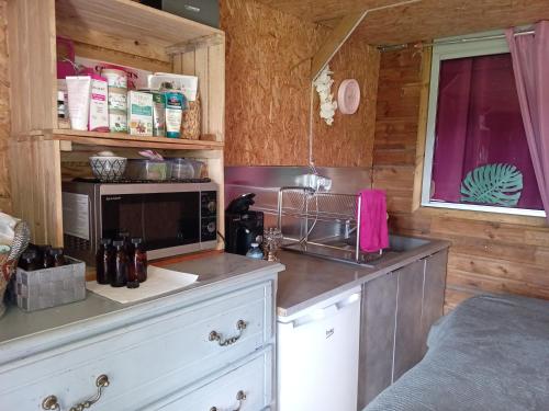 kuchnia z blatem z kuchenką mikrofalową w obiekcie CABANE, BUNGALOW, BULLE ET SPA LE REFUGE ZEN ET BIEN ETRE w mieście Montpouillan
