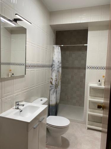 La salle de bains est pourvue de toilettes, d'un lavabo et d'une douche. dans l'établissement Casa Virgen de Gracia, à Archidona