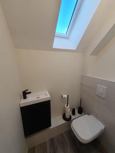 La salle de bains est pourvue de toilettes blanches et d'une lucarne. dans l'établissement Appartement 2 pièces tout confort, Aux Portes de Colmar, à Andolsheim