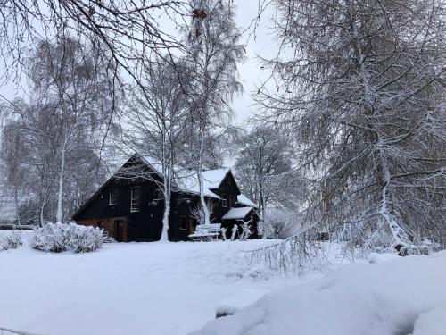 domek na śniegu z drzewami pokrytymi śniegiem w obiekcie Berghütte Vogtland w mieście Klingenthal