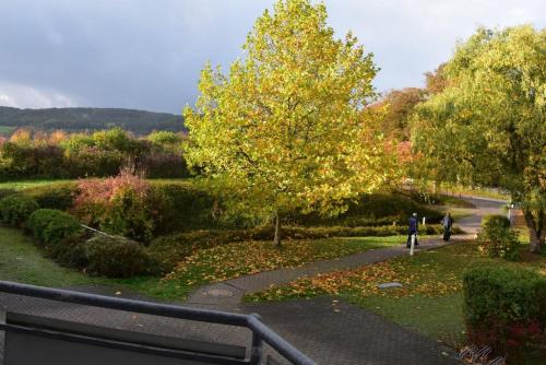 a person walking down a path in a park at Ferienwohnung Kurringblick 938 in Bad Rodach