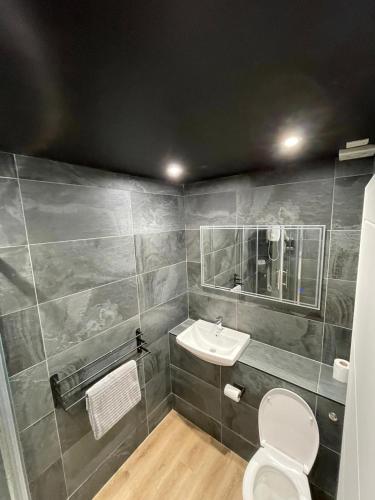 a bathroom with a toilet and a sink at Luxury modern 1 bedroom house in Southampton