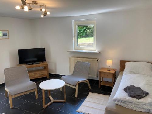 TV a/nebo společenská místnost v ubytování Ferienapartment Dörfles-Esbach