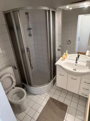 a bathroom with a shower and a toilet and a sink at Wohnung in Graz in Graz