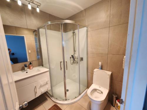 a bathroom with a shower and a toilet and a sink at Incredible Waitakere View in Auckland