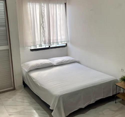 Легло или легла в стая в CJC Brasil
