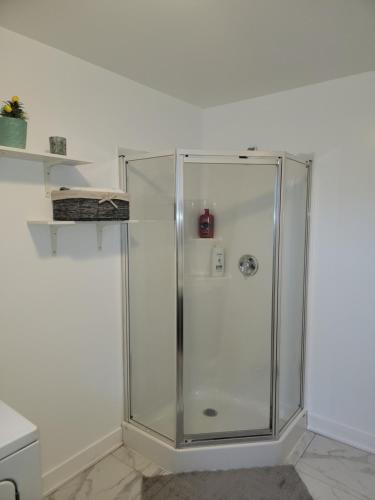 a shower with a glass door in a room at Confort Full Basement nothing shared in Longueuil