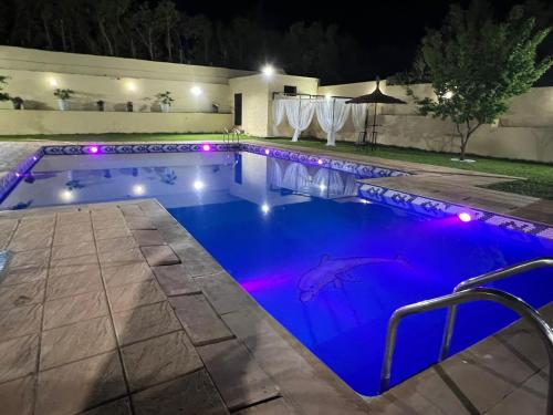 a swimming pool at night with a dolphin in the water at Stunning 3-Bed Villa in Fes near fes sais airport in Fès