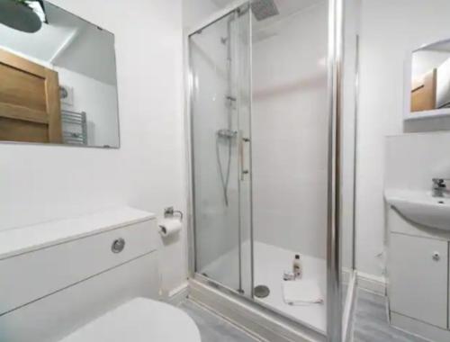 uma casa de banho com um chuveiro, um WC e um lavatório. em Spacious one bedroom apartment em Reading