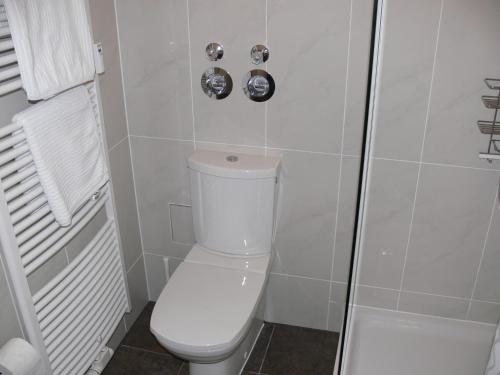a bathroom with a toilet and a shower at Business Flat Bahnhofstraße in Wiesbaden