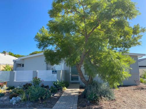 a tree in front of a white house at Serenity by the Sea in Busselton