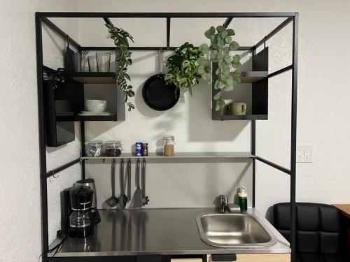 a kitchen with a sink and shelves with plants at Nice and Cozy guest house 4 in Miami