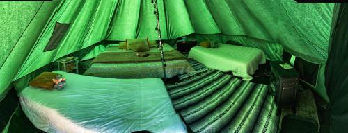 a room with two beds in a green tent at Wildwood Heart Farm in Boomer