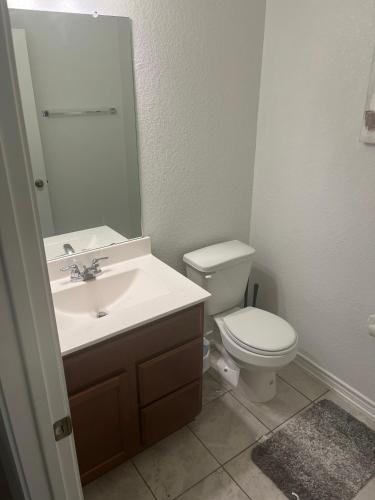 a bathroom with a toilet and a sink and a mirror at Spacious Room for Rent: Conveniently Located near Highway 1604! in San Antonio