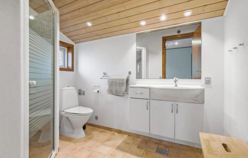 a bathroom with a toilet and a sink and a mirror at Beautiful Home In Kalundborg With Kitchen in Kalundborg