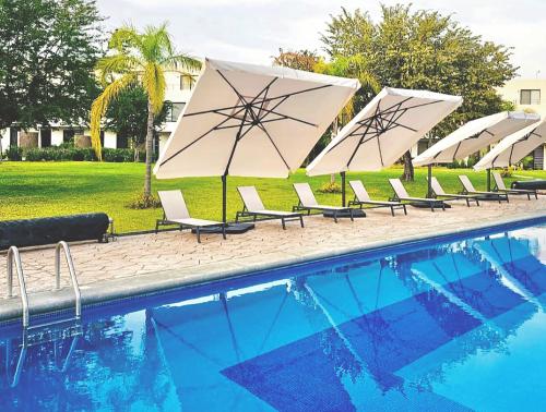 a row of lounge chairs with umbrellas next to a swimming pool at Aceptamos 1 mascota mini o raza peq selecciona la tarifa CON MASCOTA o paga la tarifa directa al anfitrion in Xochitepec