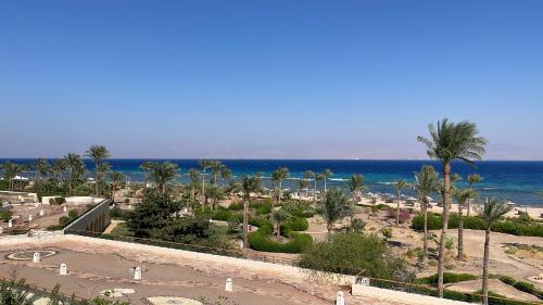 uma vista para uma praia com palmeiras e para o oceano em شقه مصيفيه شاطى الفردوس البيطاش em Alexandria