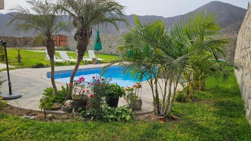un jardin avec des palmiers et une piscine dans l'établissement Green House Bahias 1-308, à Cieneguilla