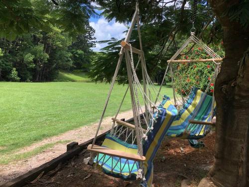 Zahrada ubytování Tiny House Farmstay Mount Warning