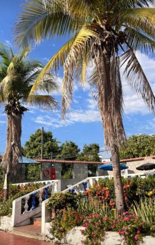 two palm trees and flowers in front of a building at Hotel Villa Gloria in Melgar