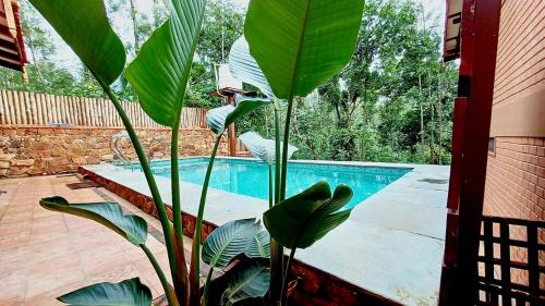 Kolam renang di atau dekat dengan Sereno Pool Villa Chikmagalur