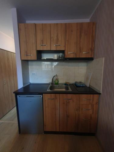 a small kitchen with wooden cabinets and a sink at Mechka ski apartment in Bansko