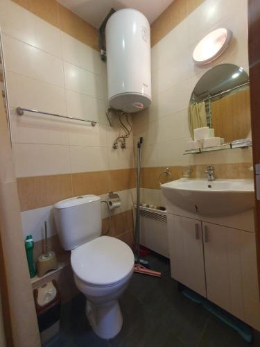 a bathroom with a white toilet and a sink at Mechka ski apartment in Bansko