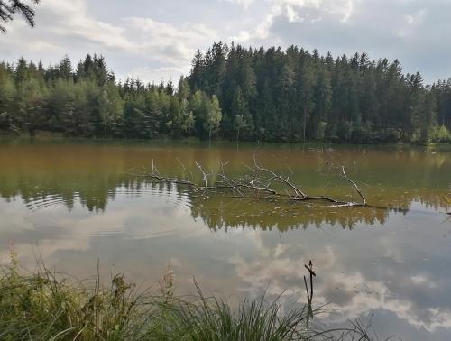 Příroda nedaleko apartmánu