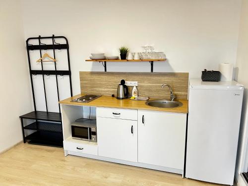 a small kitchen with a sink and a counter at Old Town apartments/Senamiesčio apartamentai in Ukmergė