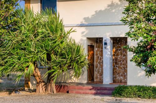 a house with a palm tree in front of it at Southern Sun Homestay North in Kenting