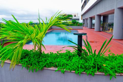 uma piscina num edifício com plantas verdes em KingJada Hotels And Apartments Ltd em Dar es Salaam