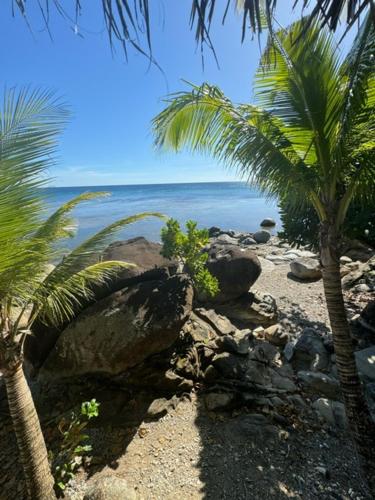 潘丹的住宿－ZenStay Retreats Private Luxury Beach House Rental，一片种有棕榈树和海洋的海滩