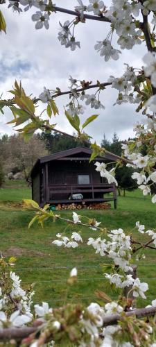 Zahrada ubytování Chata na samotě, Šumava