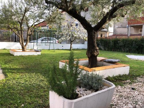 un árbol en una olla con plantas en un patio en Villa Enthia en Zadar