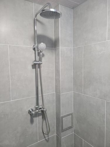 a shower with a shower head in a bathroom at Villa Mimi in Varna City