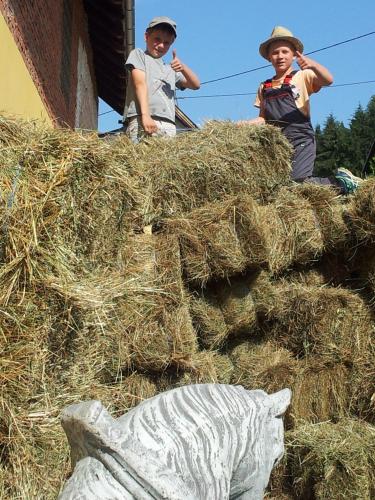 two boys are standing on a pile of hay at Landhaus Ferk in Unterburg am Klopeiner See
