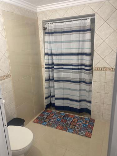 La salle de bains est pourvue d'une douche et de toilettes. dans l'établissement Alojamiento los Abuelos 3, à Icod de los Vinos