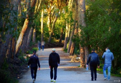 a group of people walking down a path through a forest at furnished apartment in the heart of Tangier in Tangier