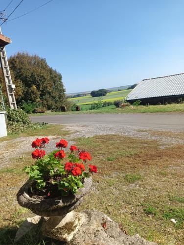 a pot of red flowers on the side of a road at Chez Nath in Aubréville